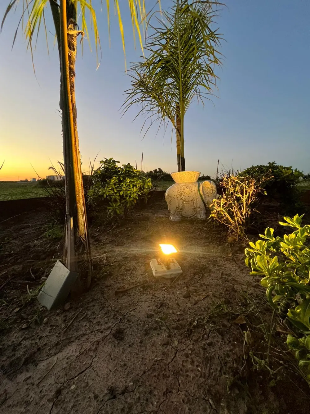 Iluminación paisajística